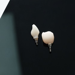 Имплантационная система Ankylos